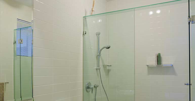 Lansing and East Lansing Accessible Shower Installation - The Meridian Company