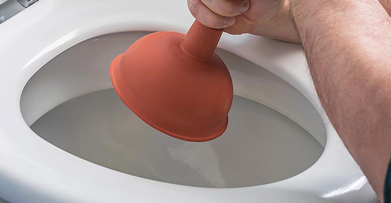 Lansing and East Lansing Clogged Toilet Repair Services - The Meridian Company