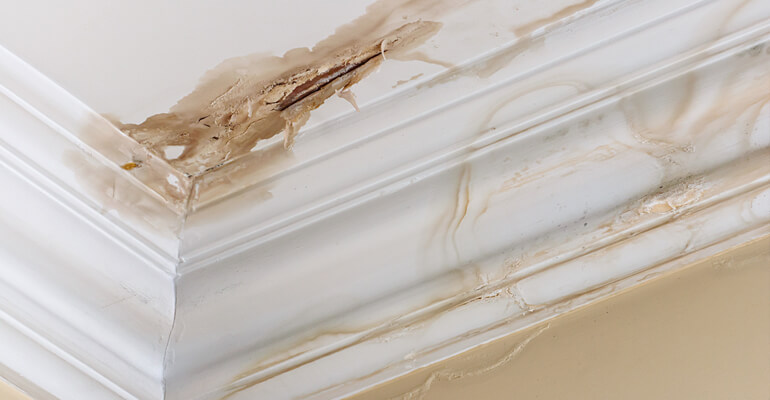 Lansing and East Lansing Water Leak Detection Services - Meridian Heating, Cooling, Plumbing & Electrical