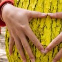 Hands embracing a textured yellow tree trunk, symbolizing appreciation for trees and their role in providing clean air, relevant to National Love a Tree Day and air quality awareness.