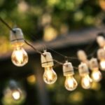 Warm glowing light bulbs with soft bokeh greenery, illustrating cozy home ambiance for The Meridian Company's services.