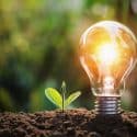 Light bulb glowing above a sprouting plant in soil, representing innovation in home service solutions.