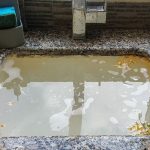 Stagnant puddle with leaves and debris near gravel border, reflecting surroundings, indicating neglect in home maintenance.