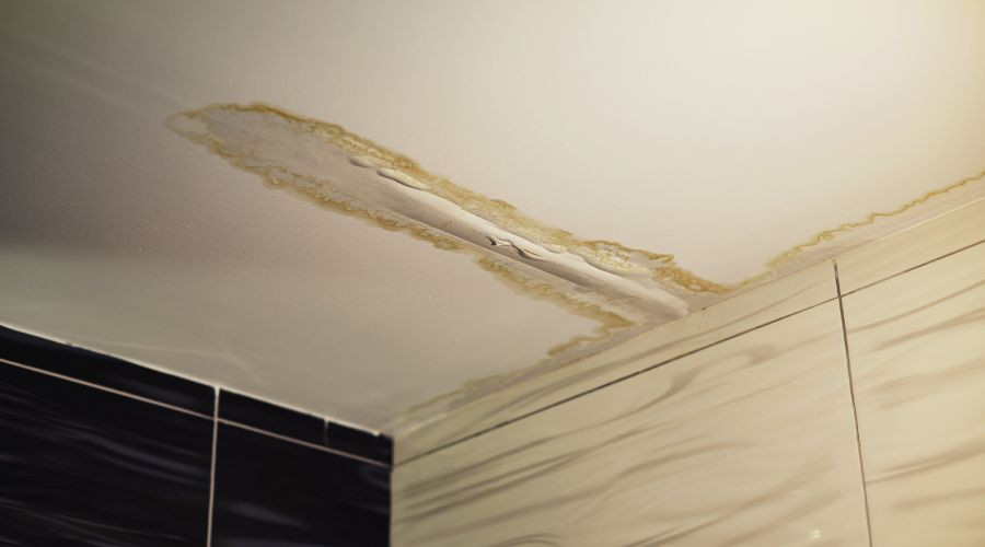 Water damage on a textured ceiling with yellowish-brown stains, indicating plumbing issues by The Meridian Company.